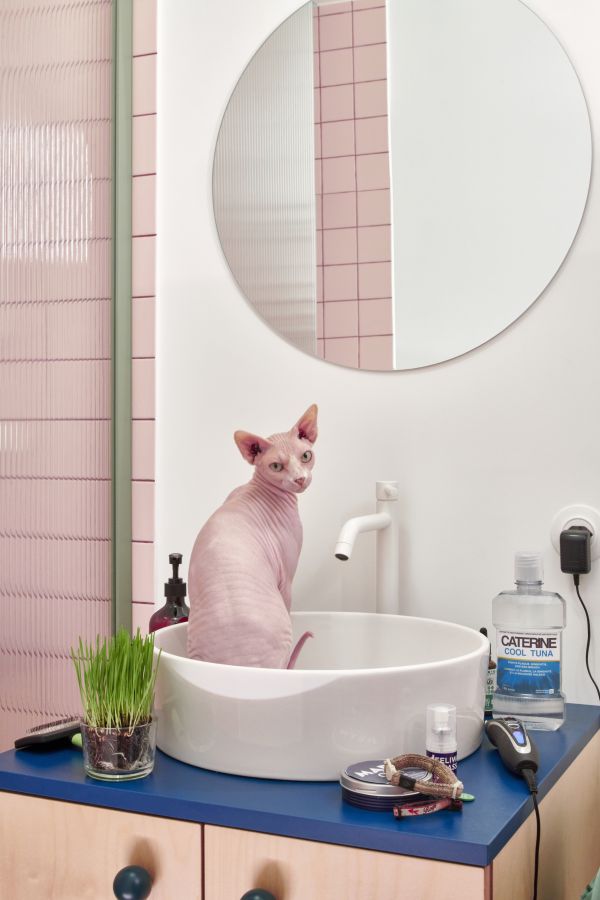 Bathroom for 2 sphinxes