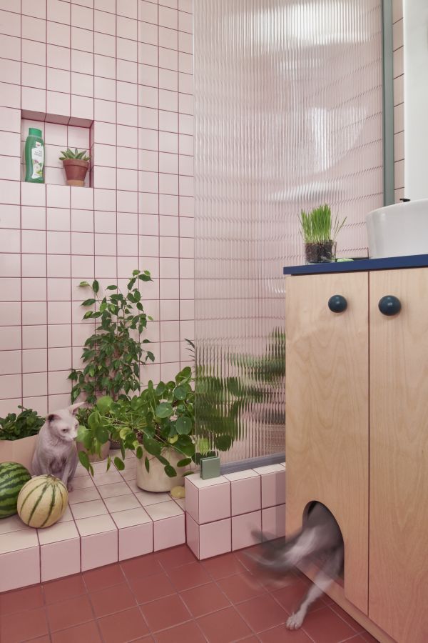 Bathroom for 2 sphinxes