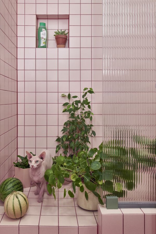 Bathroom for 2 sphinxes