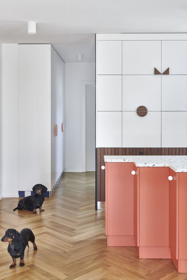 Flat for a cat lover